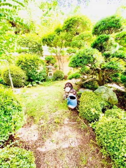 庭 緑豊かな庭です。