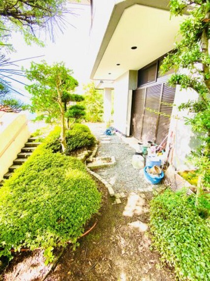 庭 1階玄関口から庭にかけて植栽もあります。