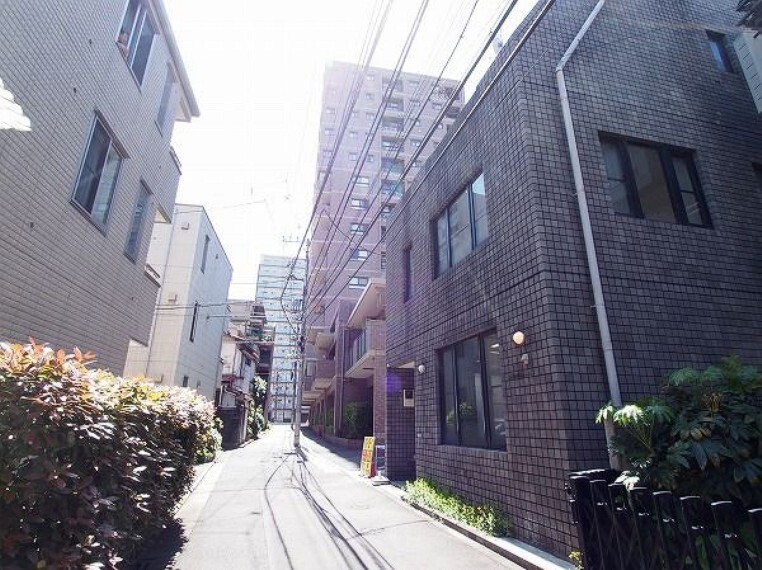 現況写真 前面道路含む現地