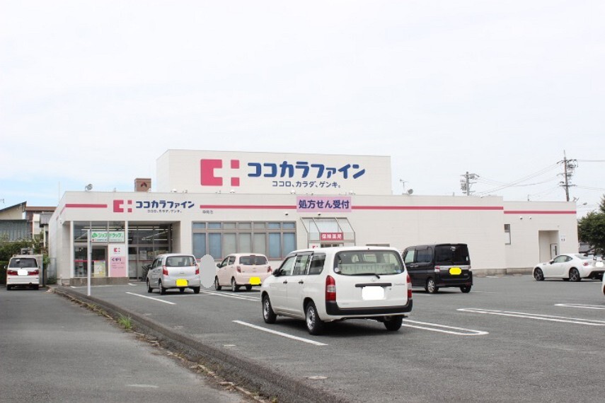ドラッグストア ココカラファイン草間店