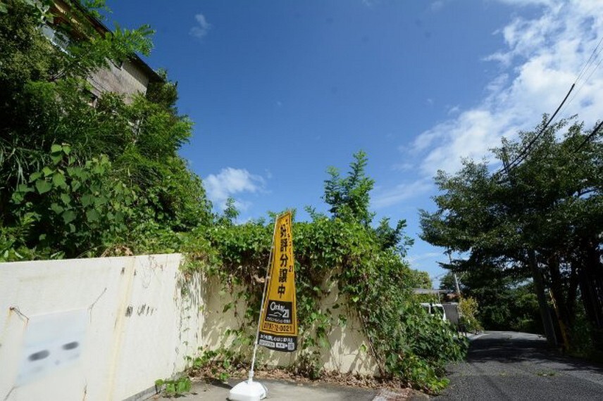 現況写真