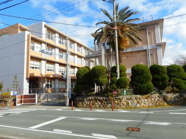 小学校 白脇小