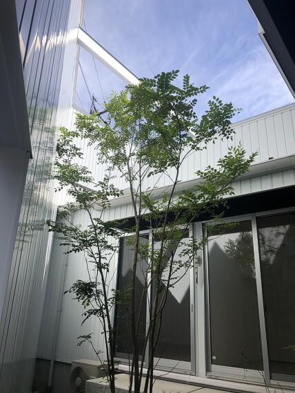 庭 1階の居室からも望める中庭には、緑の映える植栽が設えられております。