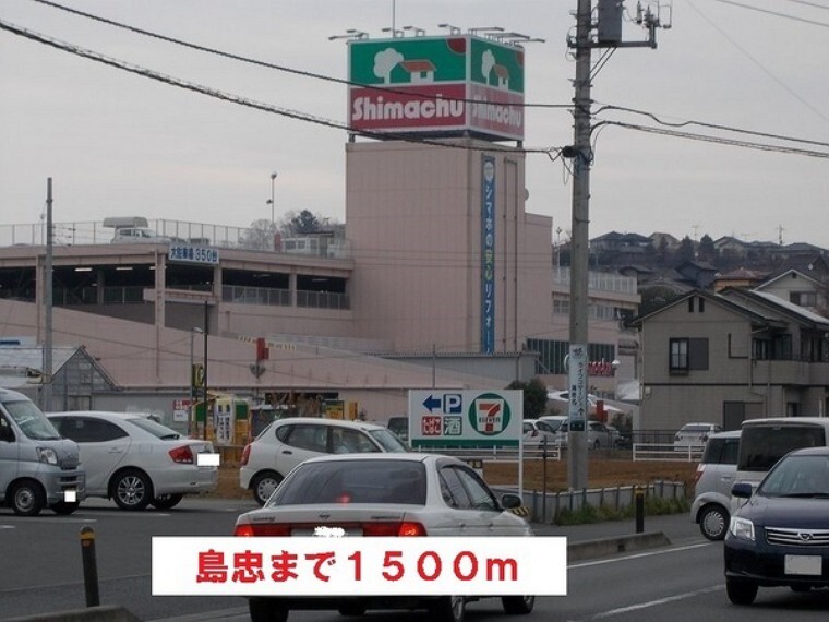 ホームセンター 島忠海老名店