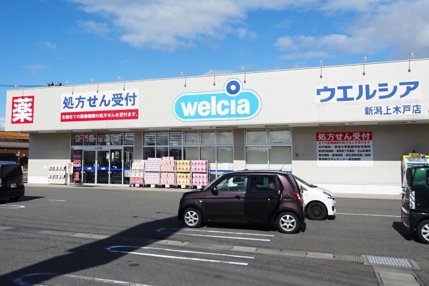 ドラッグストア ウェルシア新潟上木戸店