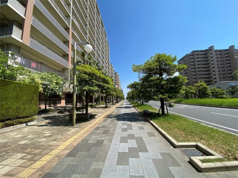 外観・現況