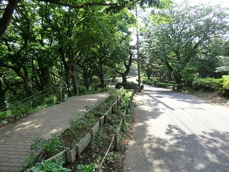 公園 神の木公園