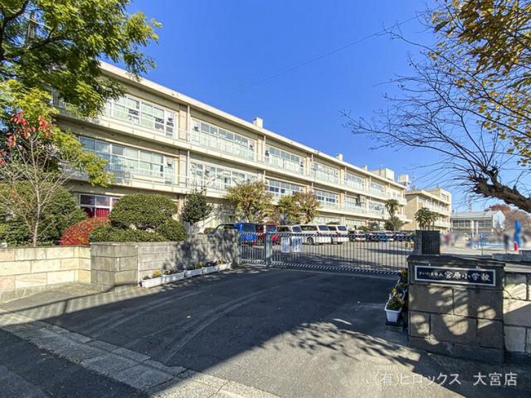 小学校 さいたま市立宮原小学校 距離300m