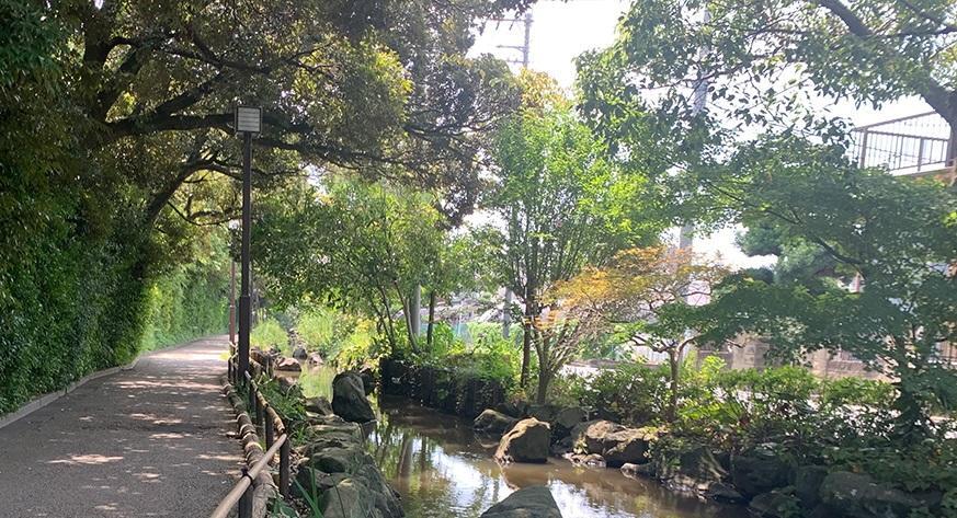 公園 一之江境川親水公園