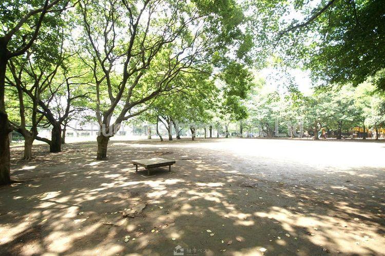 公園 井草森公園 徒歩12分。