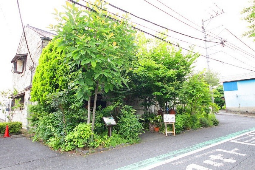 繭蔵(和食カフェレストラン)