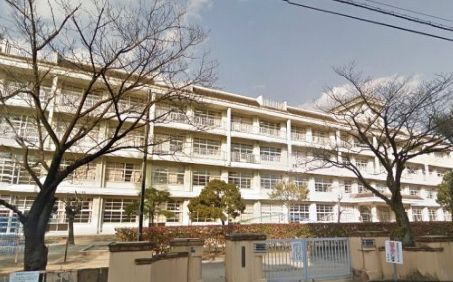 小学校 【小学校】高知市立昭和小学校まで2041m