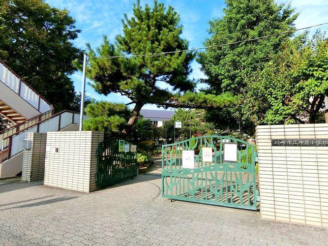 小学校 川崎市立中原小学校 徒歩4分。