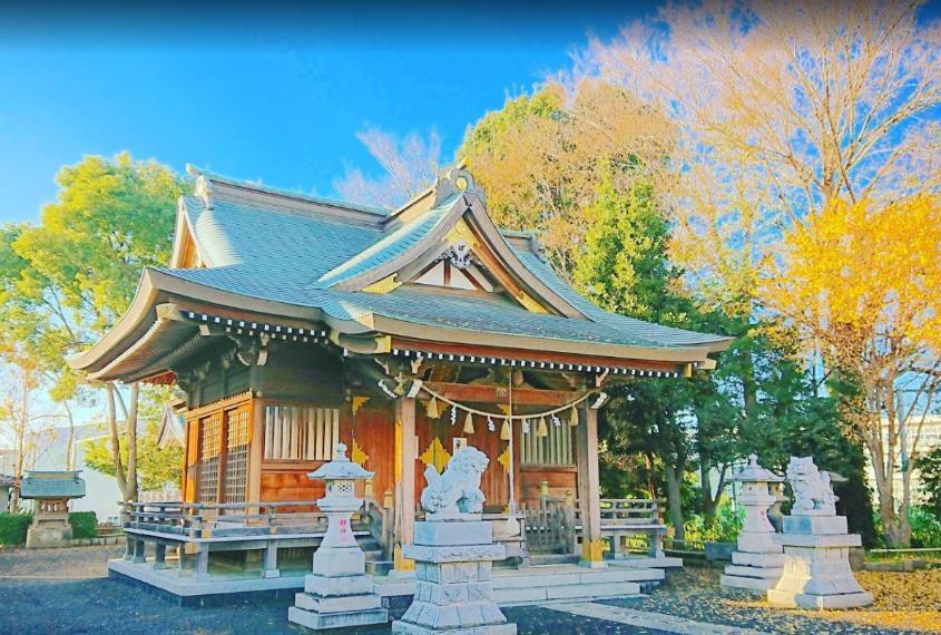 公園 並木公園