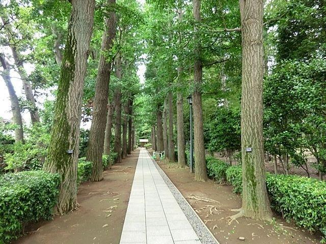 公園 大田黒公園 徒歩13分。