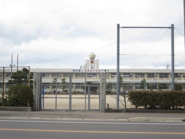 小学校 低学年のお子様でも安心な通学時間です。六角小学校まで800m