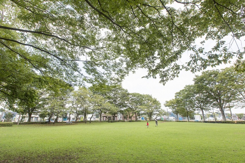公園 竹園サンパーク公園(約40m/徒歩 1分)2015年9月撮影