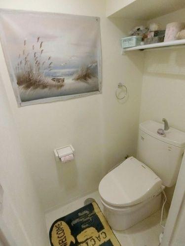 トイレ タオル掛け、シンプルなトイレこそ使いやすいスタイルです