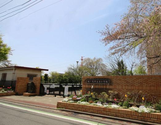 小学校 南小学校(750m)