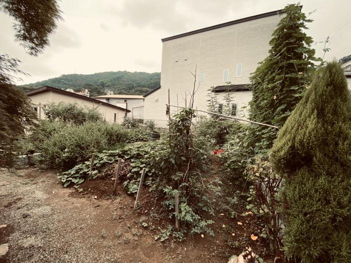 庭 家庭菜園楽しめる畑付です