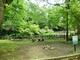 公園 御幣公園