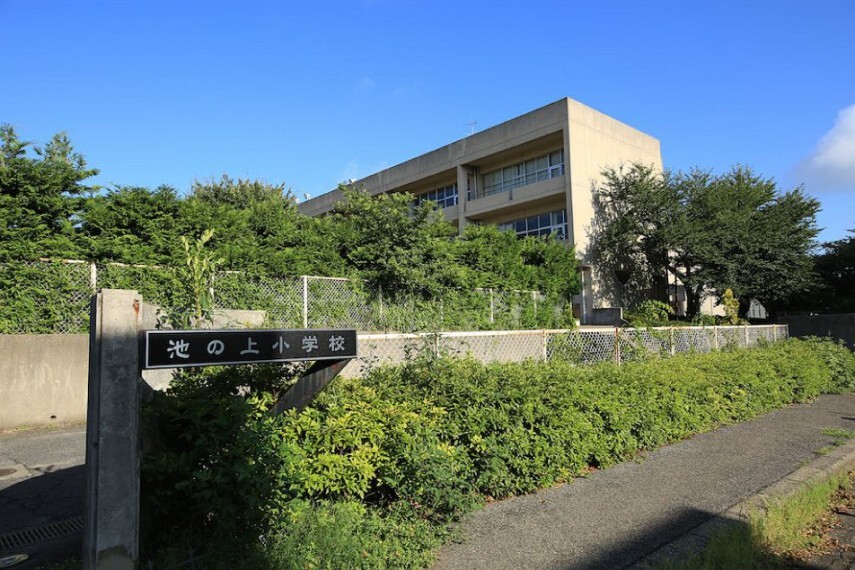 小学校 池の上小学校 徒歩8分