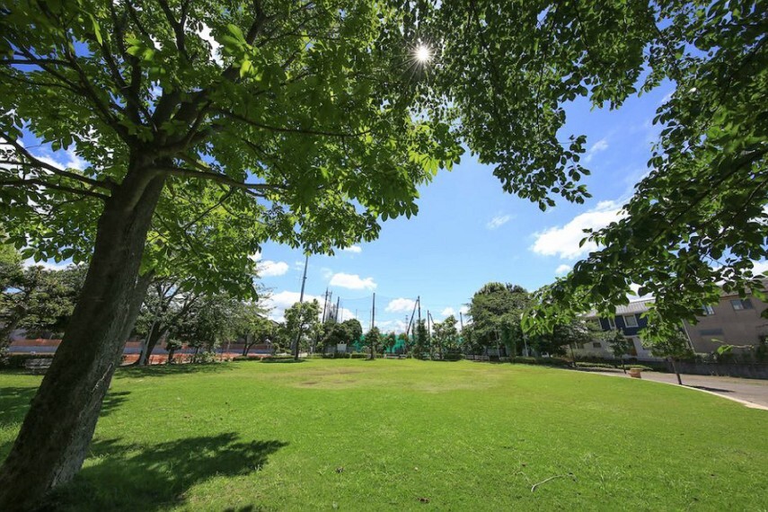 公園 池の上第一児童公園 徒歩1分