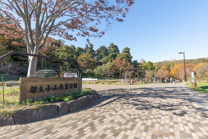 公園 小山内裏公園(徒歩8分)