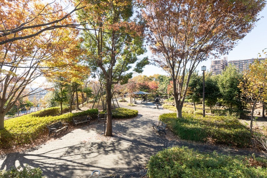 公園 小山白山公園(徒歩11分)