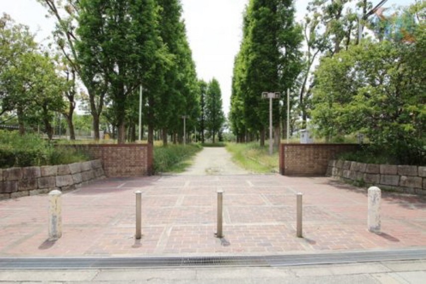 公園 【公園】芦原公園まで317m