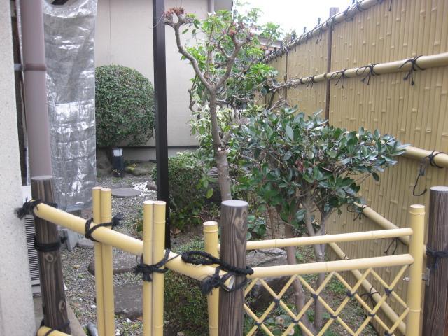 庭 裏庭への入口