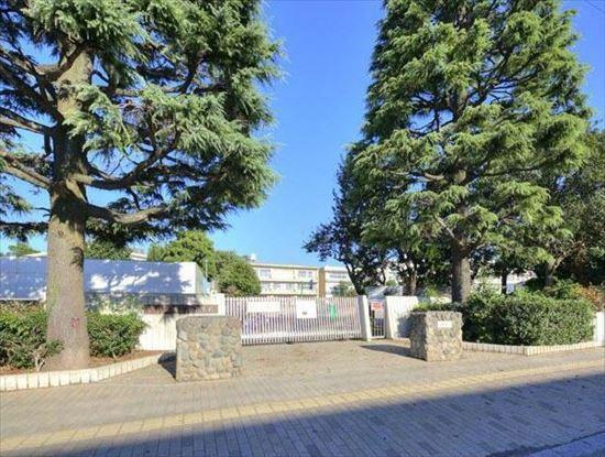 小学校 柏市立柏第五小学校