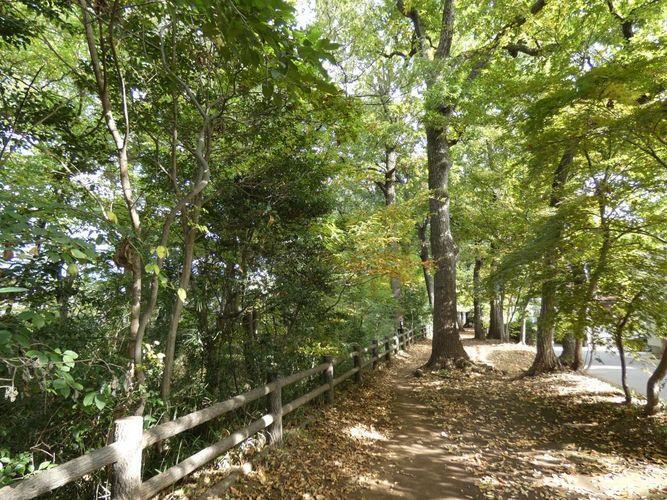 《緑豊かな街》 住宅からすぐの玉川上水沿いは緑豊かな緑道で、お散歩するのにとても気持ちのいい道です