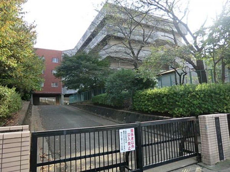 小学校 横浜市立獅子ヶ谷小学校 約550m