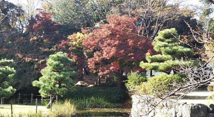 公園 秋葉公園 徒歩13分。