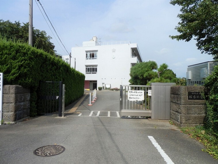 (桜台小学校 )桜台小学校