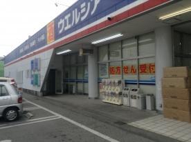 ドラッグストア ウエルシア小山天神店