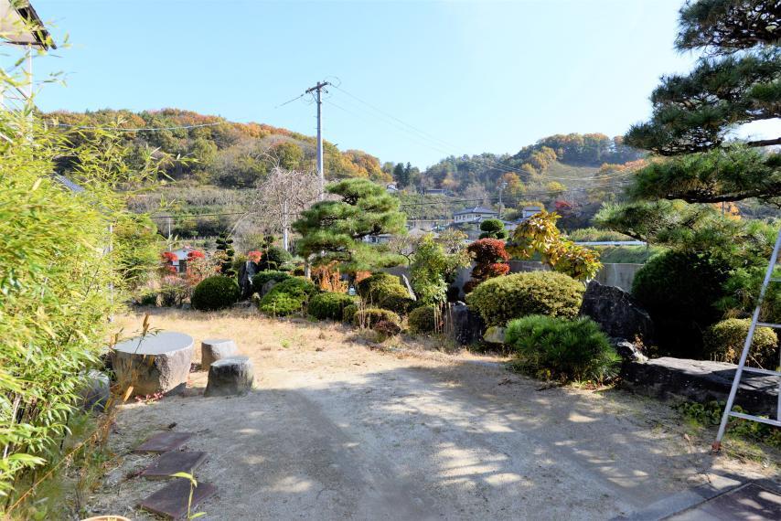 庭 緑あふれるお庭