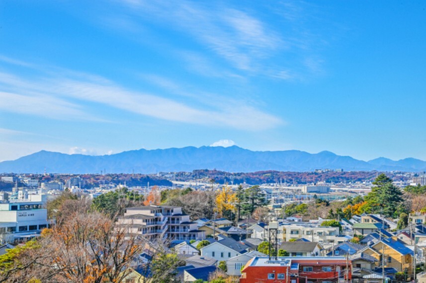 眺望 天気の良い日は住戸内から富士山も望めます。