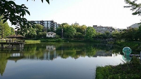 公園 隼人池公園 徒歩14分。