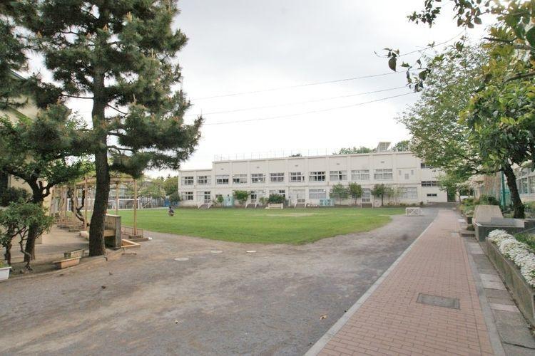 小学校 杉並区立済美小学校 徒歩8分。