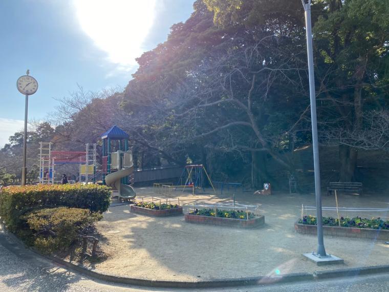 公園 中央公園