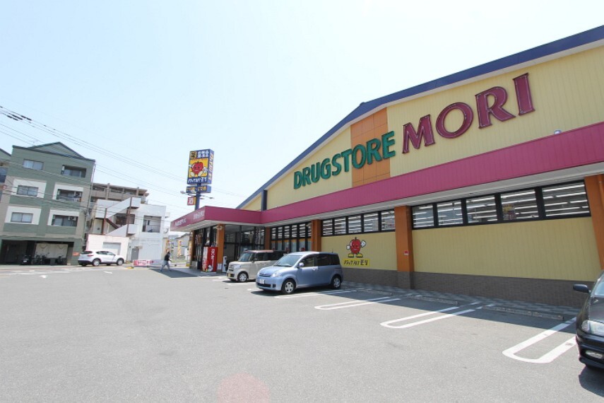 ドラッグストア DRUG STORE MORI(ドラッグストアモリ) 堤店
