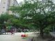 公園 中津公園 大阪府大阪市北区中津2丁目8