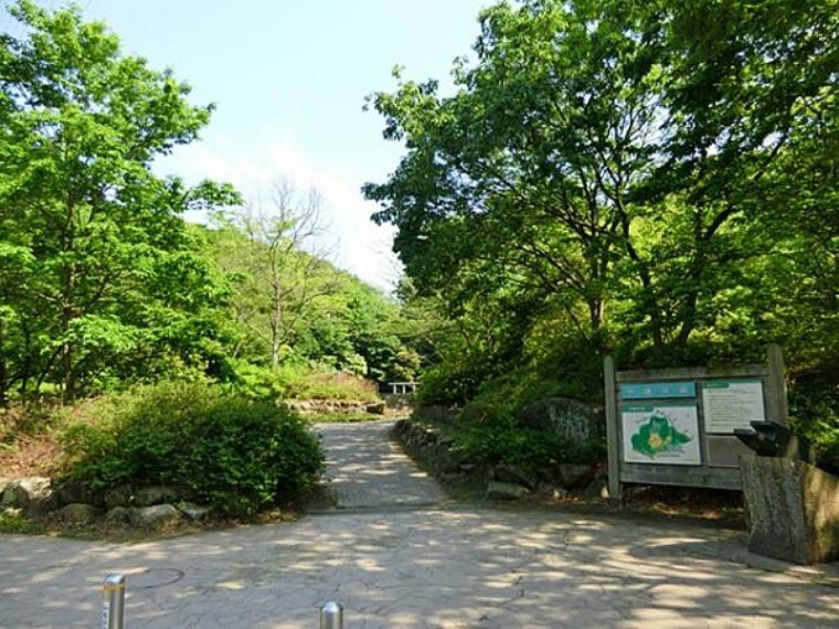 公園 坪呑公園 約520m