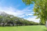 公園 袖ヶ浦第三緑地（徒歩2分）南側に広がる15000平米の緑道