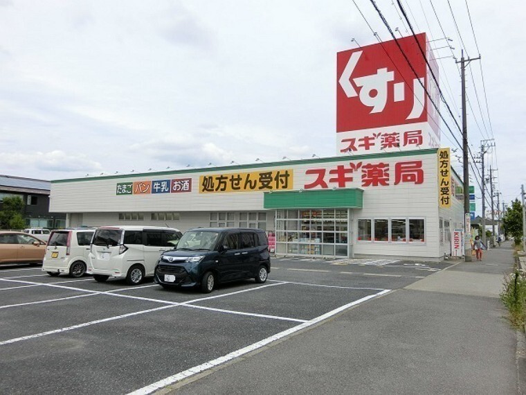 ドラッグストア スギ薬局毛受店