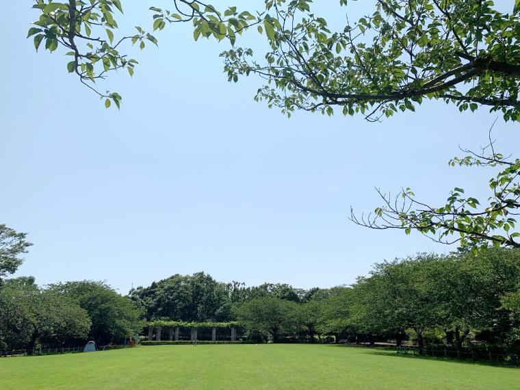 公園 長久保公園都市緑化植物園