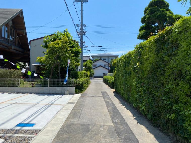 現況外観写真 南側公道