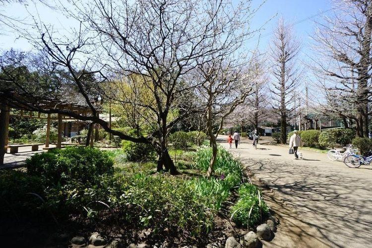 公園 哲学堂公園 徒歩33分。